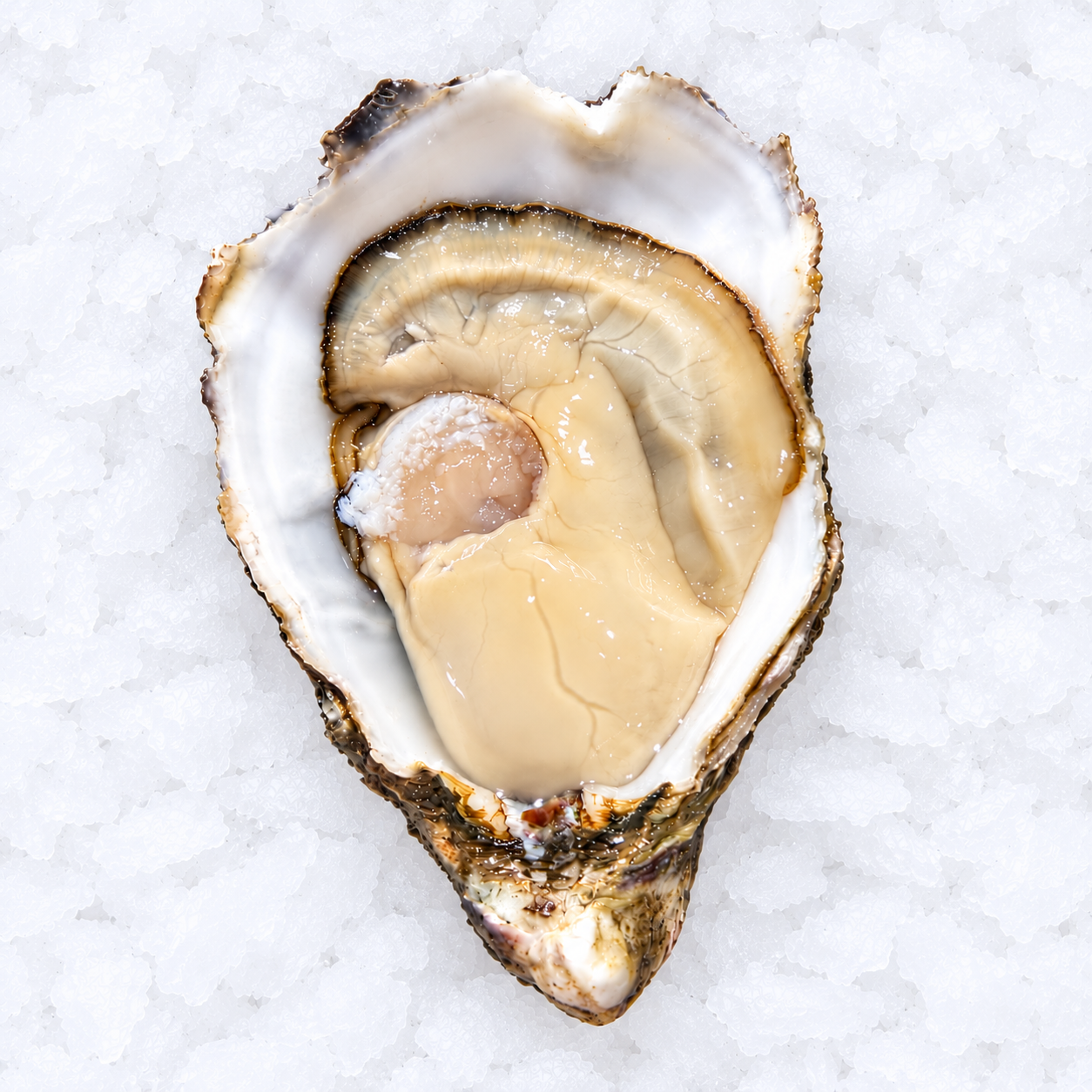 GRANDE PACIFIC OYSTERS (1/2 DOZ) - Claudio's Seafoods, Sydney Fish Markets
