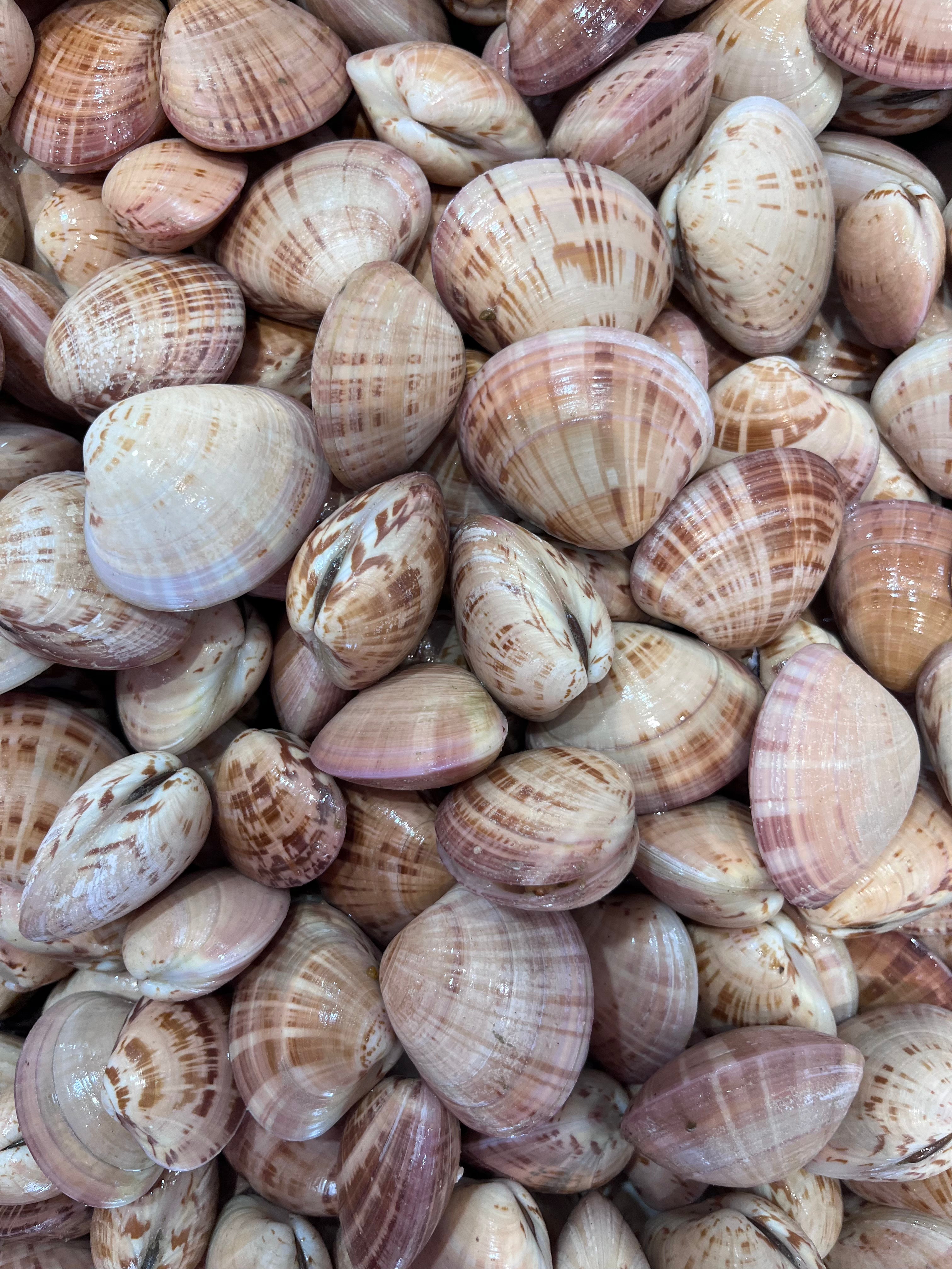 STRAWBERRY CLAMS (MIN 500G) - Claudio's Seafoods, Sydney Fish Markets