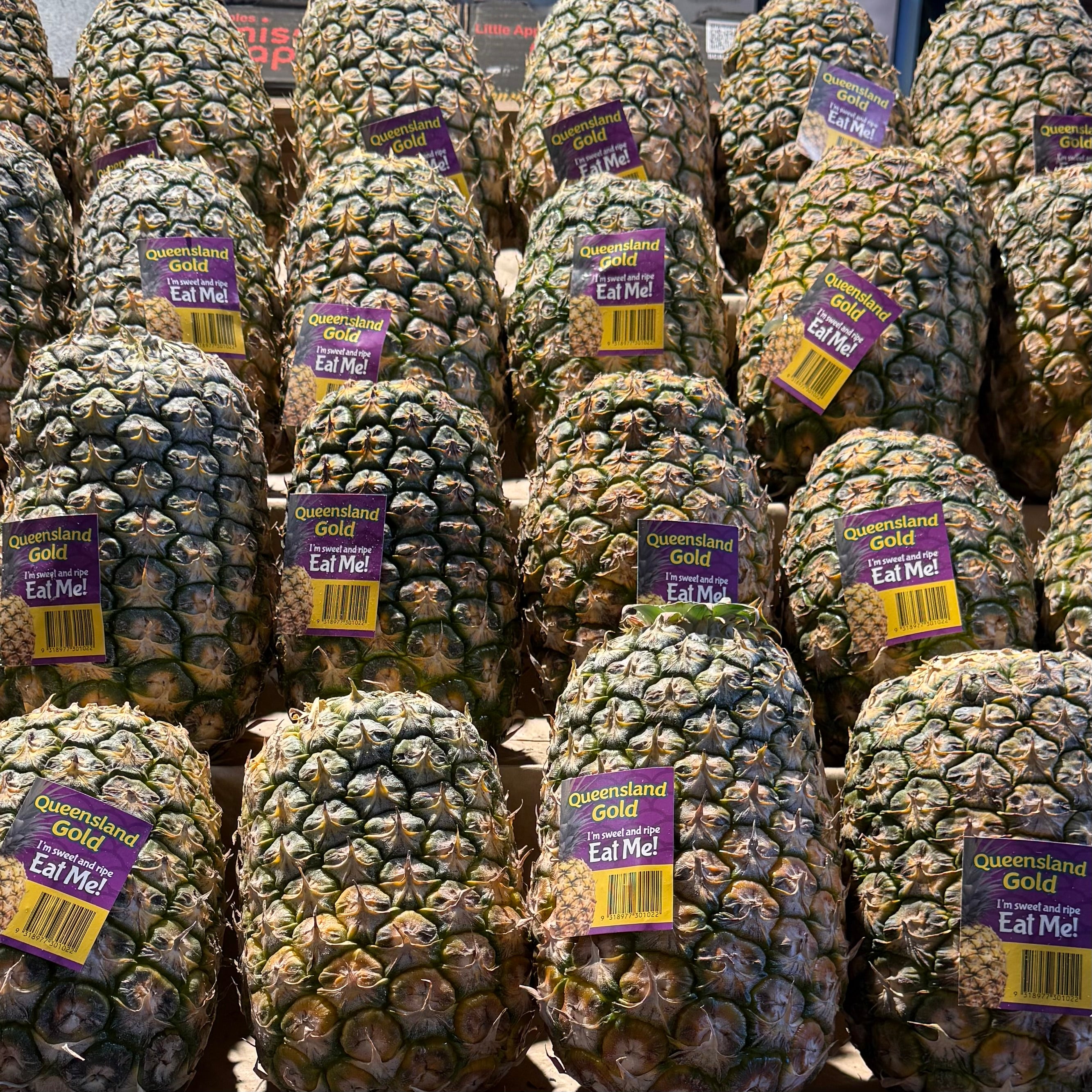 PINEAPPLE LARGE EAT ME (1 EACH) - Claudio's Seafoods, Sydney Fish Markets