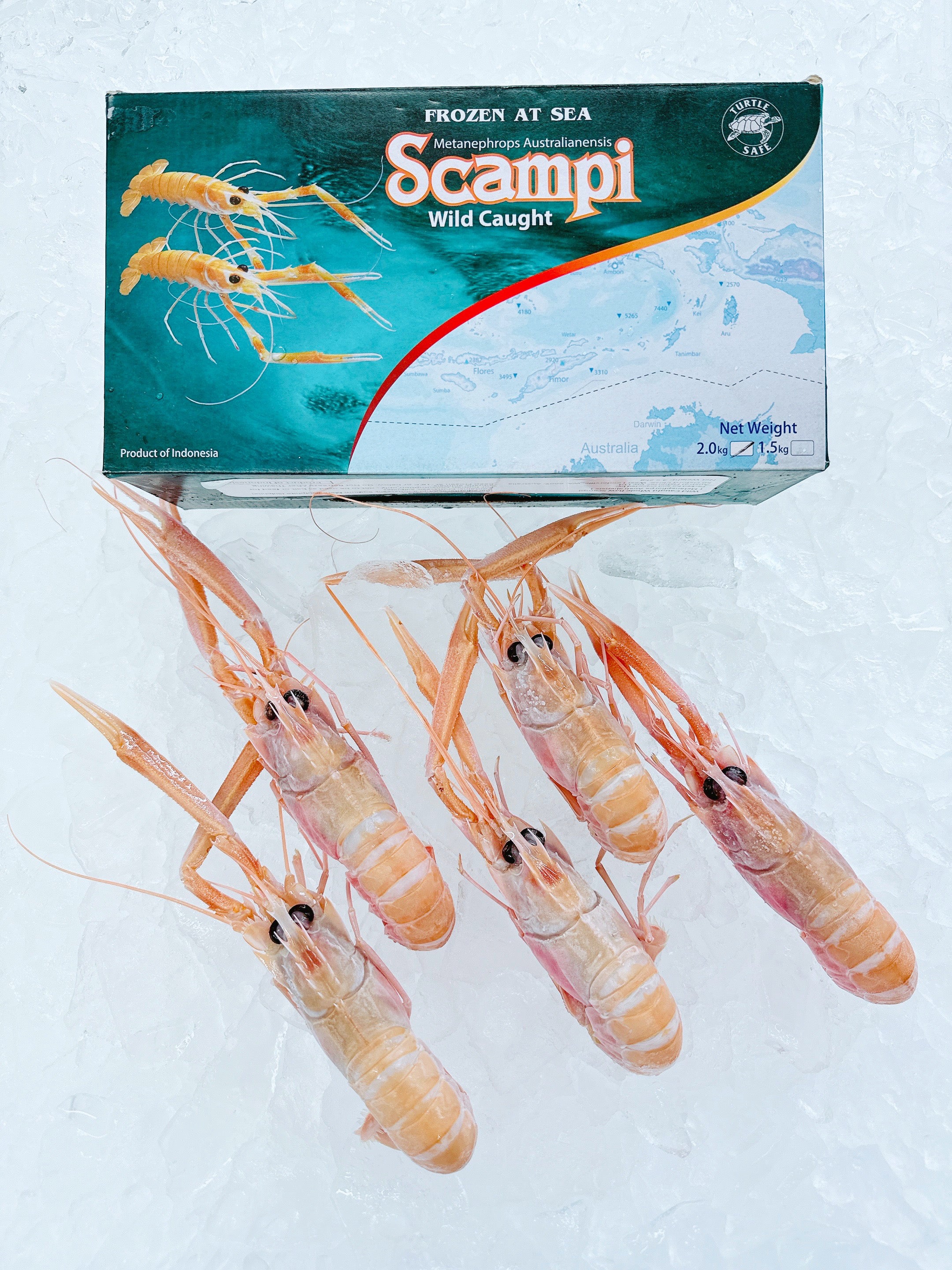 SCAMPI NO. 1 (LARGE) 2KG BOX - Claudio's Seafoods, Sydney Fish Markets