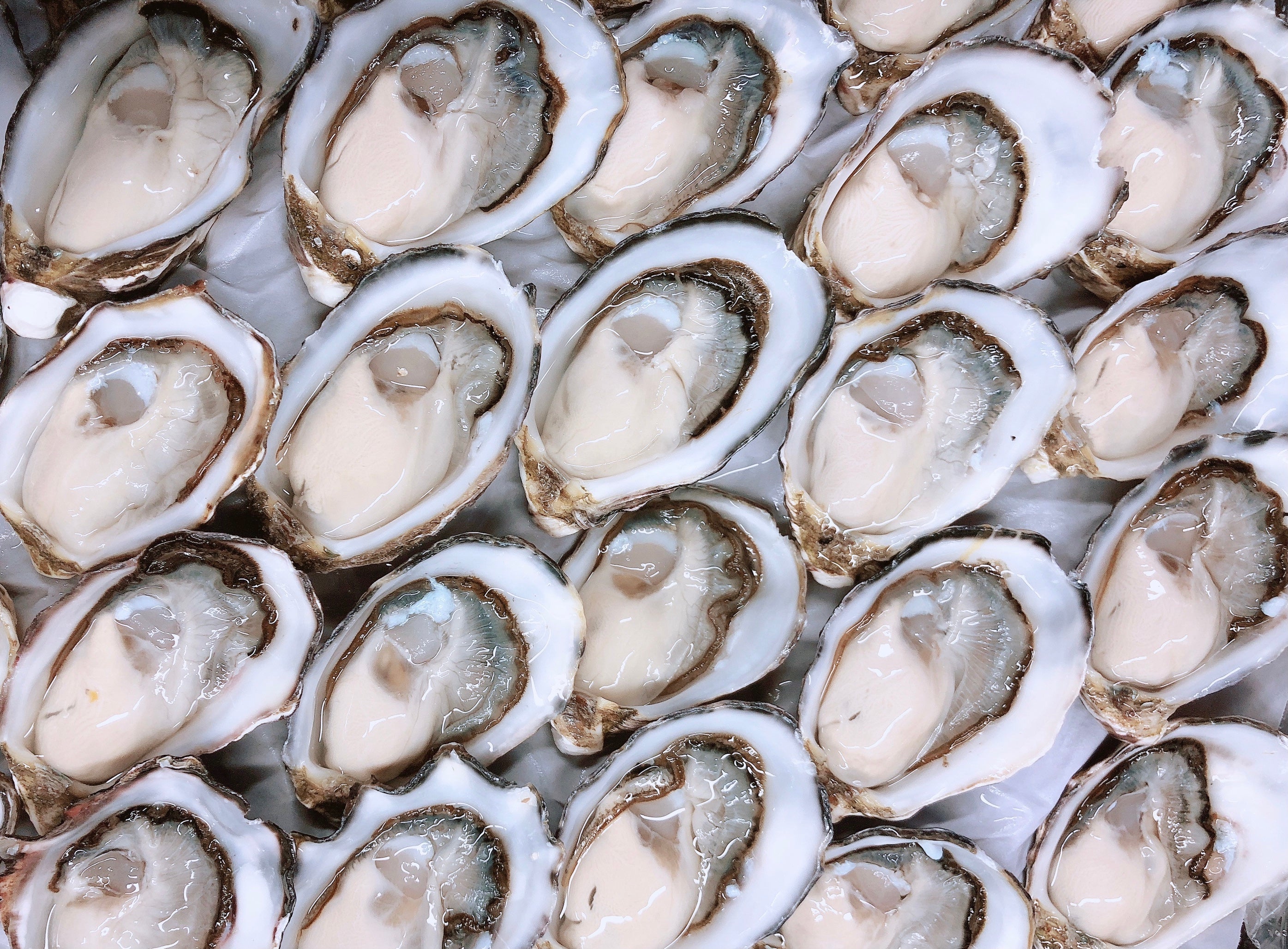 COFFIN BAY PACIFIC OYSTERS (1/2 DOZ) - Claudio's Seafoods, Sydney Fish Markets