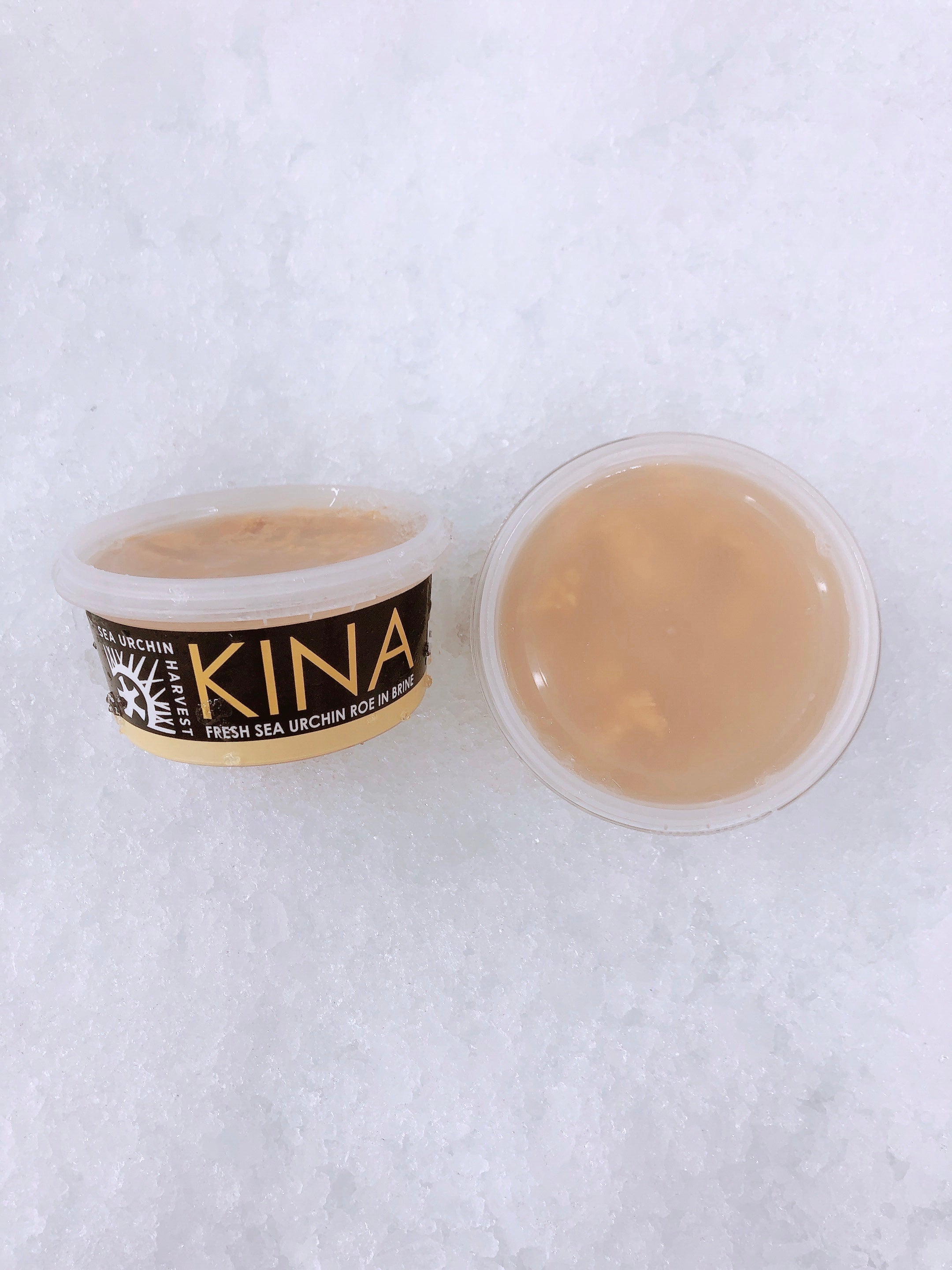 WILD SOUTH COAST SEA URCHIN ROE (KINA) PER PUNNET - Claudio's Seafoods, Sydney Fish Markets