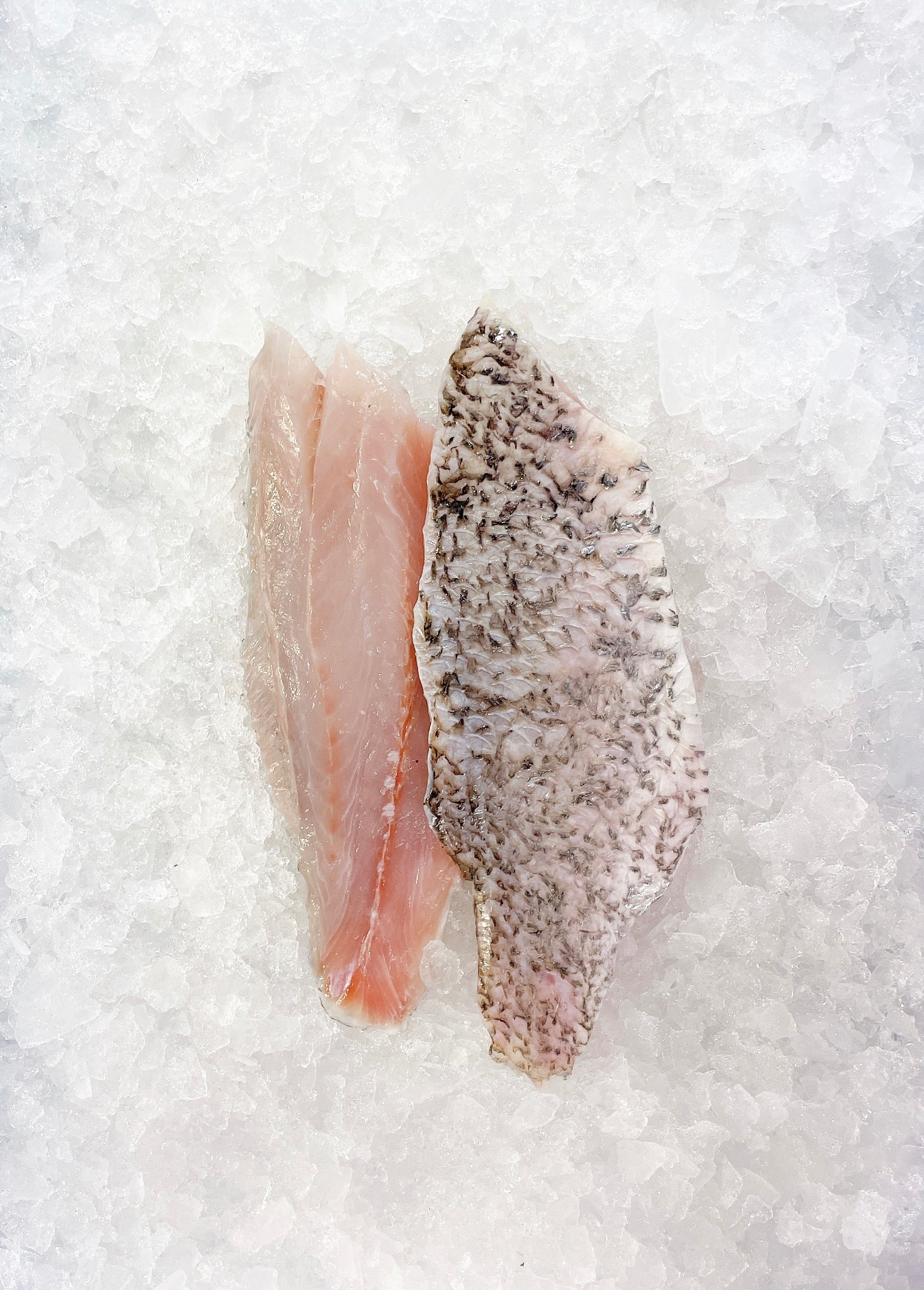 BABY BARRAMUNDI FILLETS (MIN 500G) - Claudio's Seafoods, Sydney Fish Markets