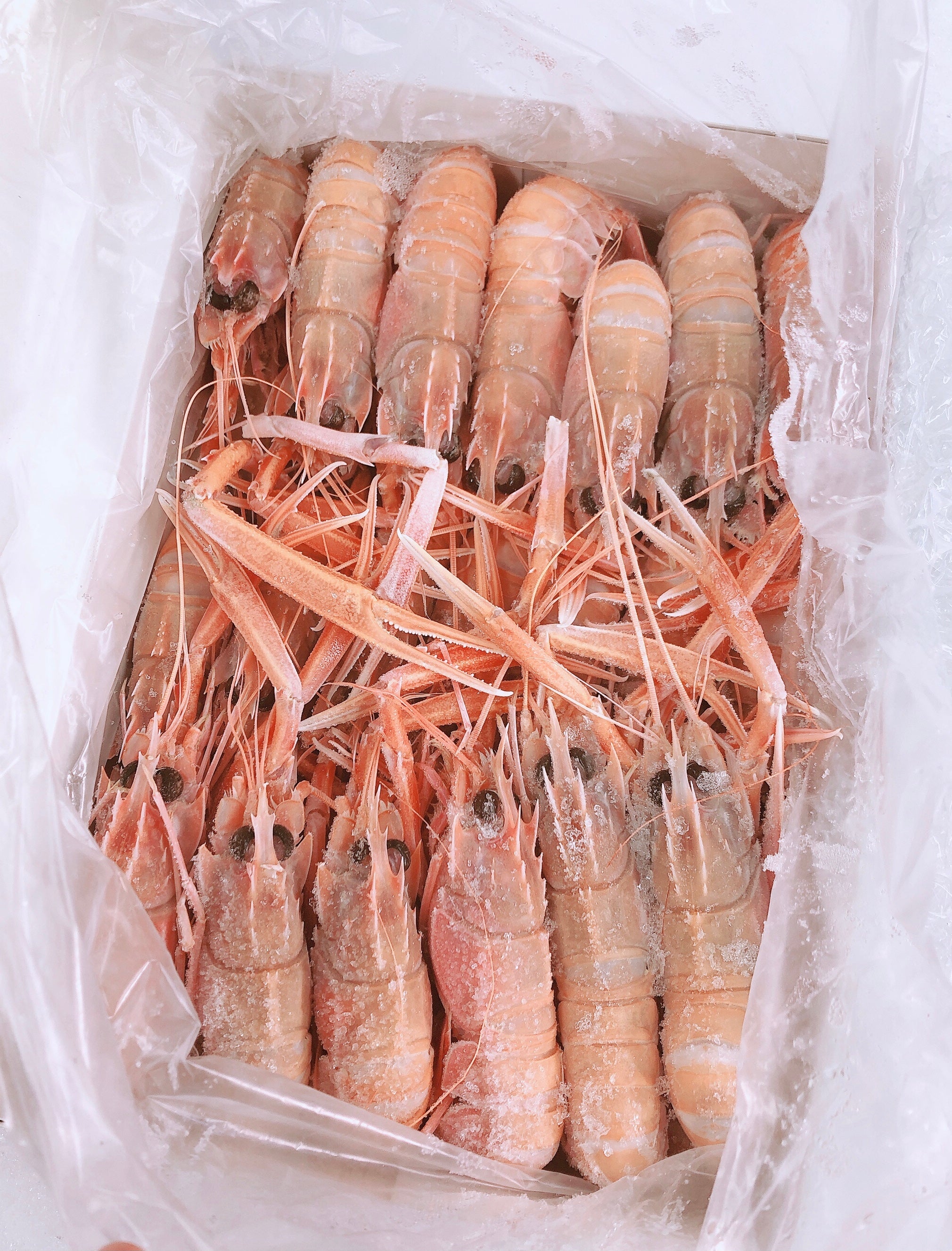 W.A. SCAMPI NO 2 (SMALL - MED) 1KG - Claudio's Seafoods, Sydney Fish Markets