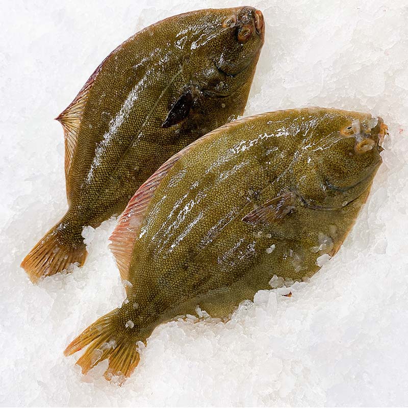 Claudio's Seafoods YELLOWBELLY FLOUNDER 500G 600G (1 FISH)